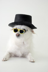 You have got to be kidding!