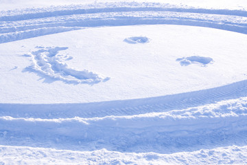 Fototapeta na wymiar Uśmiech na śniegu