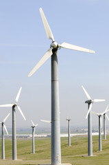 Fototapeta premium Wind generators farm
