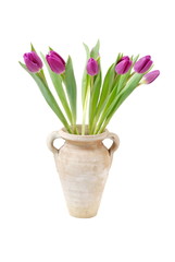 springtime - tulips