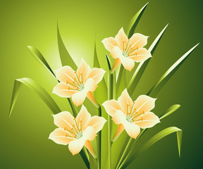 Flowers Illustration 18