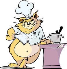 cat cook