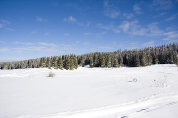 Beatiful winter scene