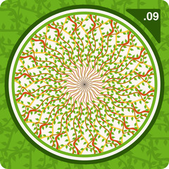 Colorful kaleidoscope. Vector.