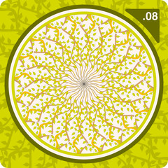 Colorful kaleidoscope. Vector.