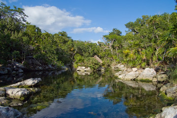 Fototapeta na wymiar Jungle pond