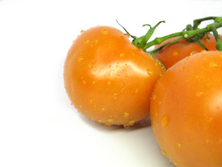 fresh tomatoes for salad