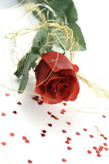rote rose mit kleinen herzen