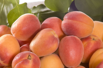 abricot01