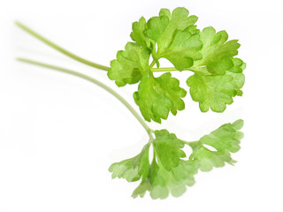 Parsley