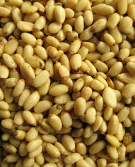 Pine nuts edible seeds Pignoli