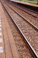 Fototapeta premium Rails of a railway