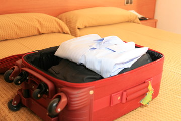 valise