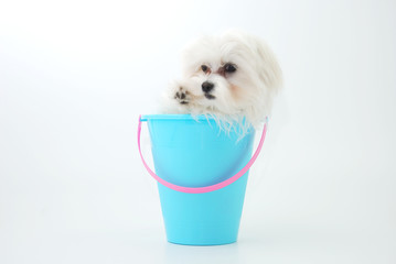 Waving vacation goodbye