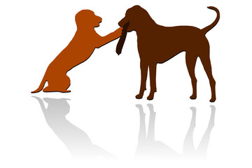 Hunde mit Stöckchen