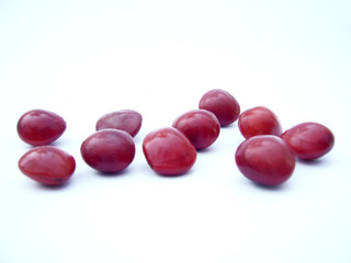 unity gem seeds