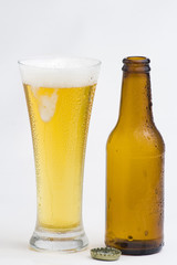 fresh cold and tasty beer