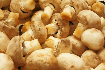 Champignons