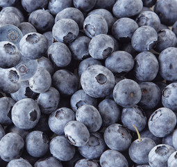 Blueberry
