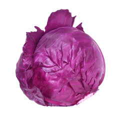 Obraz premium Red Cabbage
