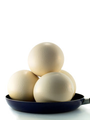 ostrich eggs