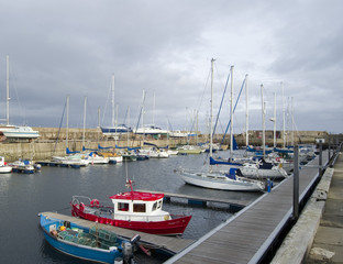 local fishing industry