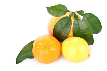 Fruits with green leaves