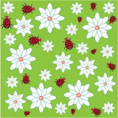 Poster Lieveheersbeestje met bloemenpatroon © remg