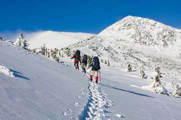 Fototapeta na wymiar Hiker are in winter mountains
