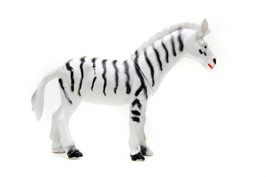 Toy Zebra Over White