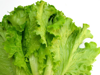 Alface - Organic Lettuce - Salade
