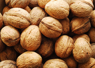 nuts background