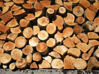 Bois, Holz, Wood, Legno,  עץ
