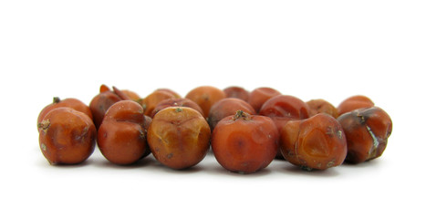 Juniperus juniper red berries