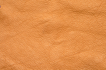 leather texture