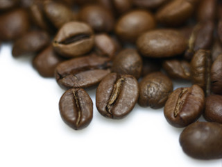 Fototapeta premium Coffee beans close up