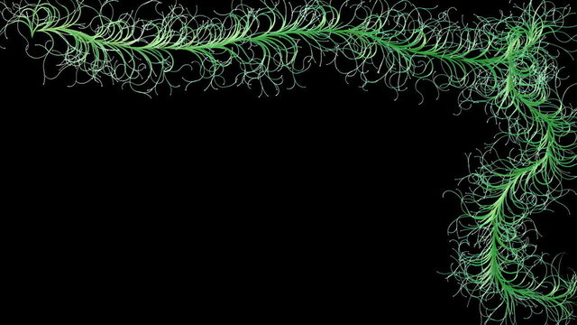 Animated growing vines frame,Alpha Channel included
