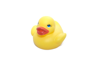 Yellow rubber duck close up.
