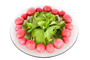Radishes