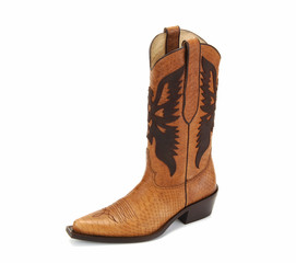 cowboy boot