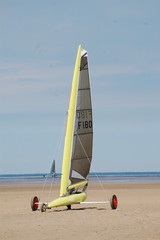 Fototapeta premium char à voile