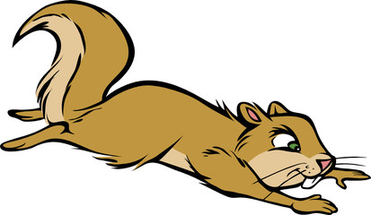 squirrel jumping © Andrew Adams