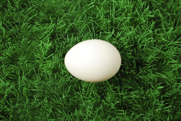 Weißes Ei auf Gras