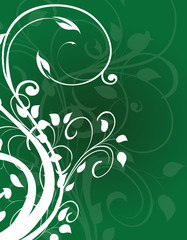 arabesque floral verte