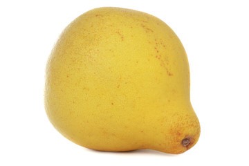 pomelo fruit