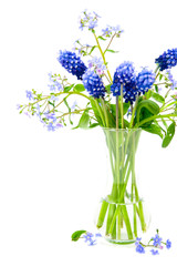 Bouquet of spring flowers