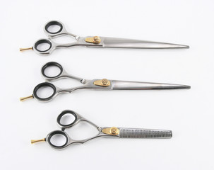 Different professional scissors