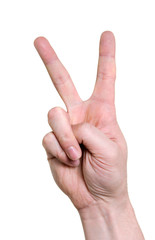 hand indicating peace victory sign  isolated on white background