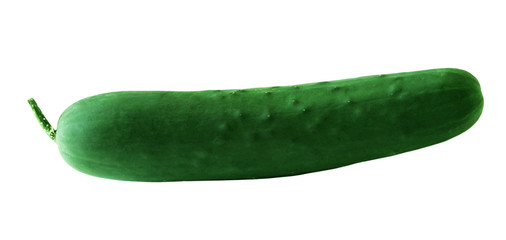 Single Cucumber