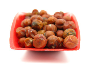 Obraz premium Red juniperus berries